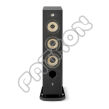 Focal ARIA EVO X N°2    N ° 2  - salony w Katowicach i Toruniu zapraszają - kupuj u najlepszych! - 10