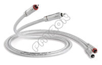 Qed QE2440 RCA (QE 2440) SIGNATURE 40