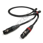 Chord Signature  XLR- salony w KATOWICACH i TORUNIU zapraszają - kupuj u najlepszych! 