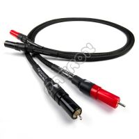 Chord Signature RCA - salony w KATOWICACH i TORUNIU zapraszają - kupuj u najlepszych! 